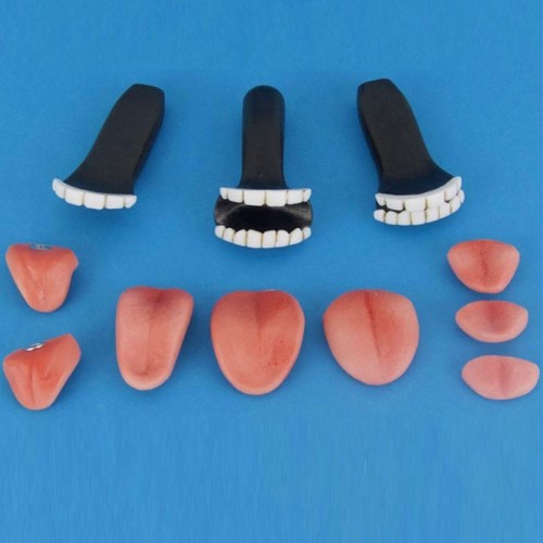 Teeth and Tongue Kits (Resin) Teeth and Tongue Kits (Resin)